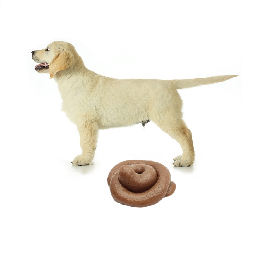 Fake Poop Gag Gift - Zabawna zabawka do psikusów w kształcie